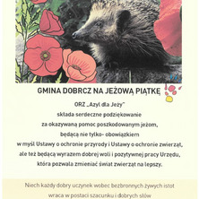 Gmina Dobrcz nagrodzona za pomoc jeżom. Podziękowanie od Azylu